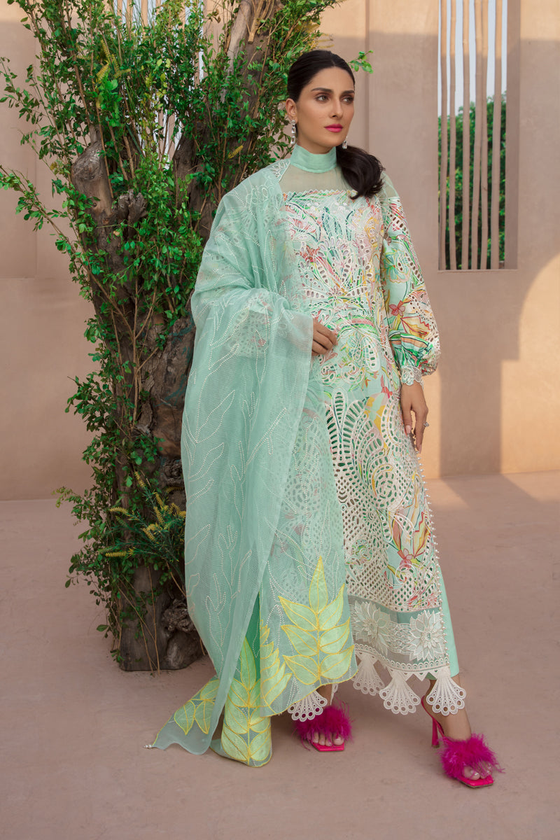 Montone Rang Moonstone | Rang Rasiya | Premium Eid Collection 2023 – Ayat B Wardrobe