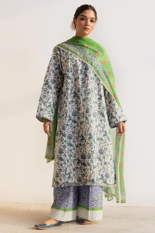 NARGIS-D2 | Zara Shahjahan | Coco Prints 2024