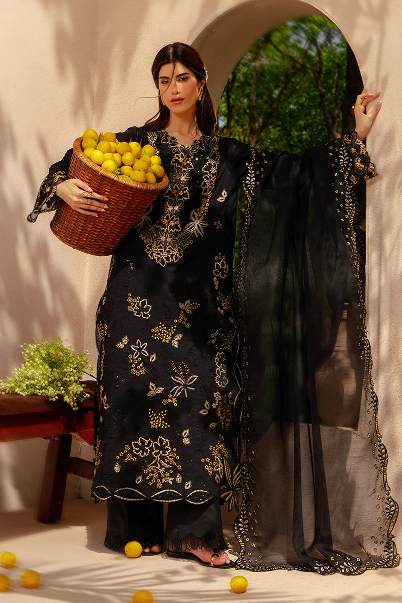 Layl | Rang Rasiya  | Luxury Eid Collection 2026