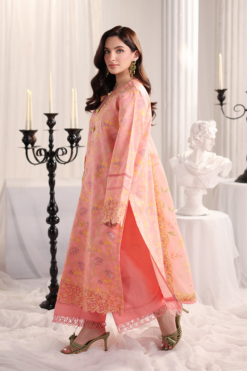 Rosalia | Rang Rasiya | Nova Summer Embroidered Edit collection 2026