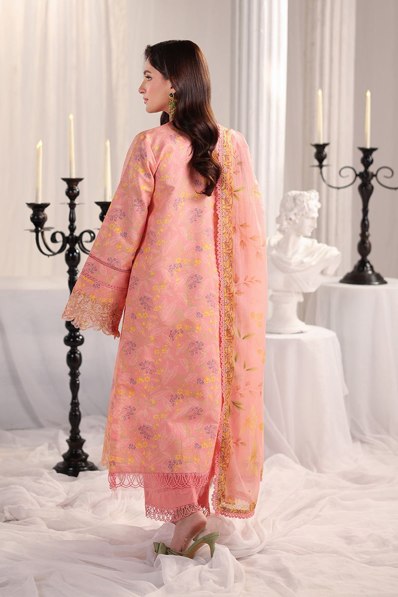Rosalia | Rang Rasiya | Nova Summer Embroidered Edit collection 2026