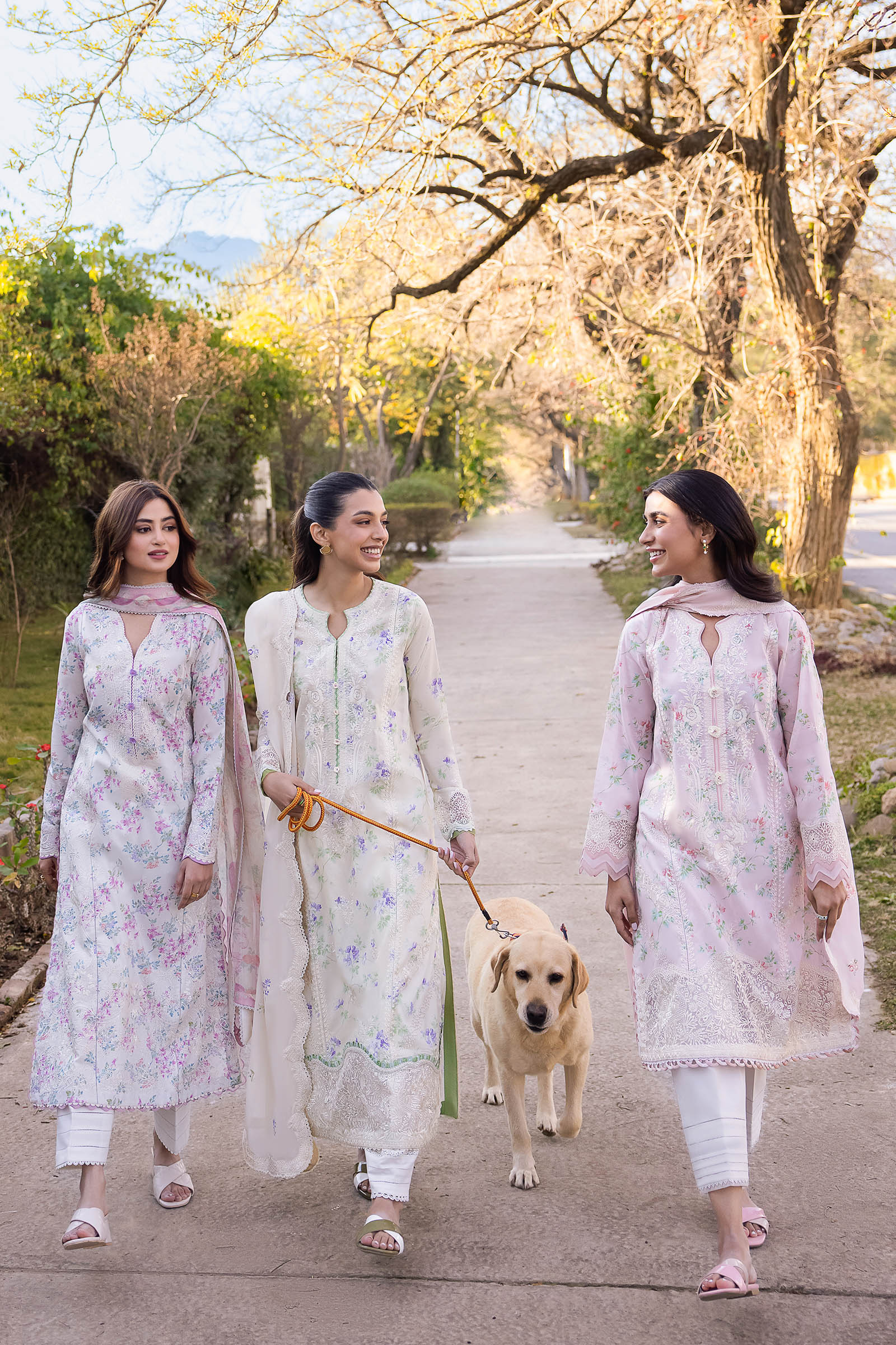 ASEMA (ZL24-04 B) | Zaha | Luxury Lawn 2024