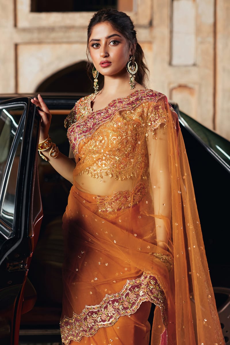 Raniya SH-02 | Qalamkar | Shadmani Luxury Formals 2024