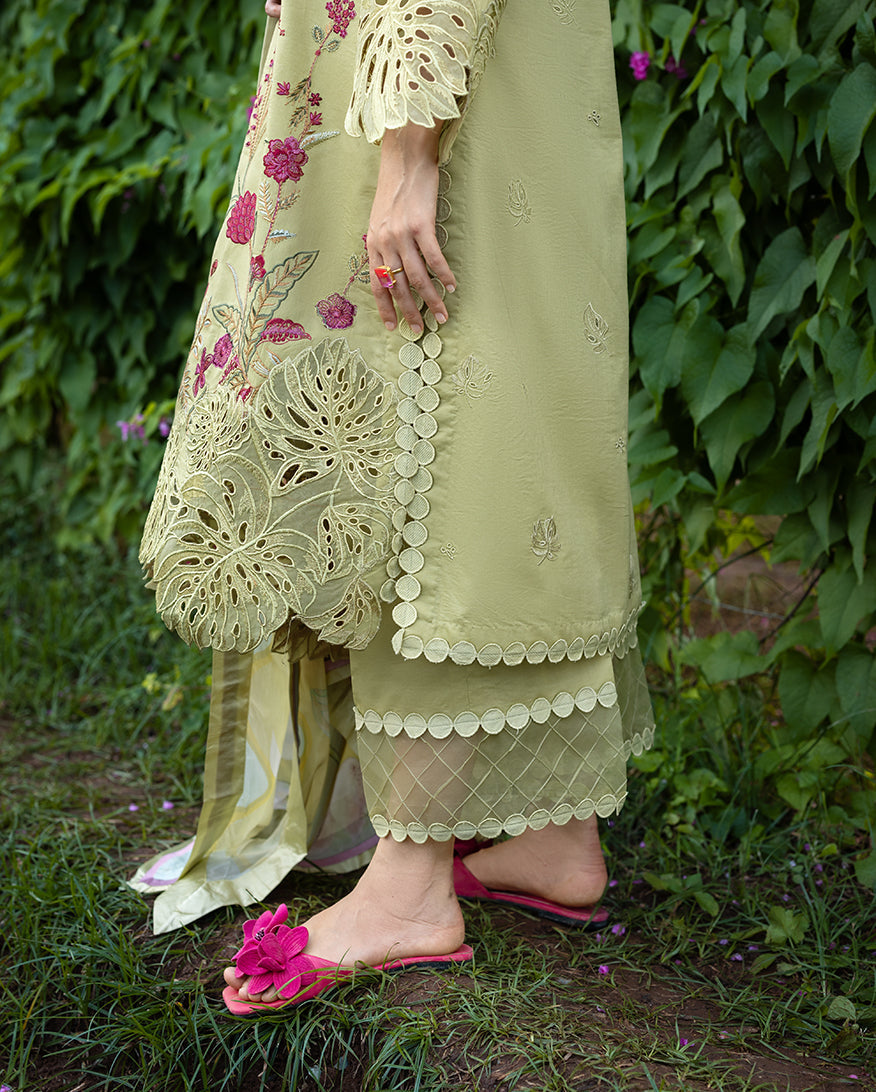 Wildflower Waltz | Mushq | Hemline The Secret Garden Lawn Unstitched Collection 2026