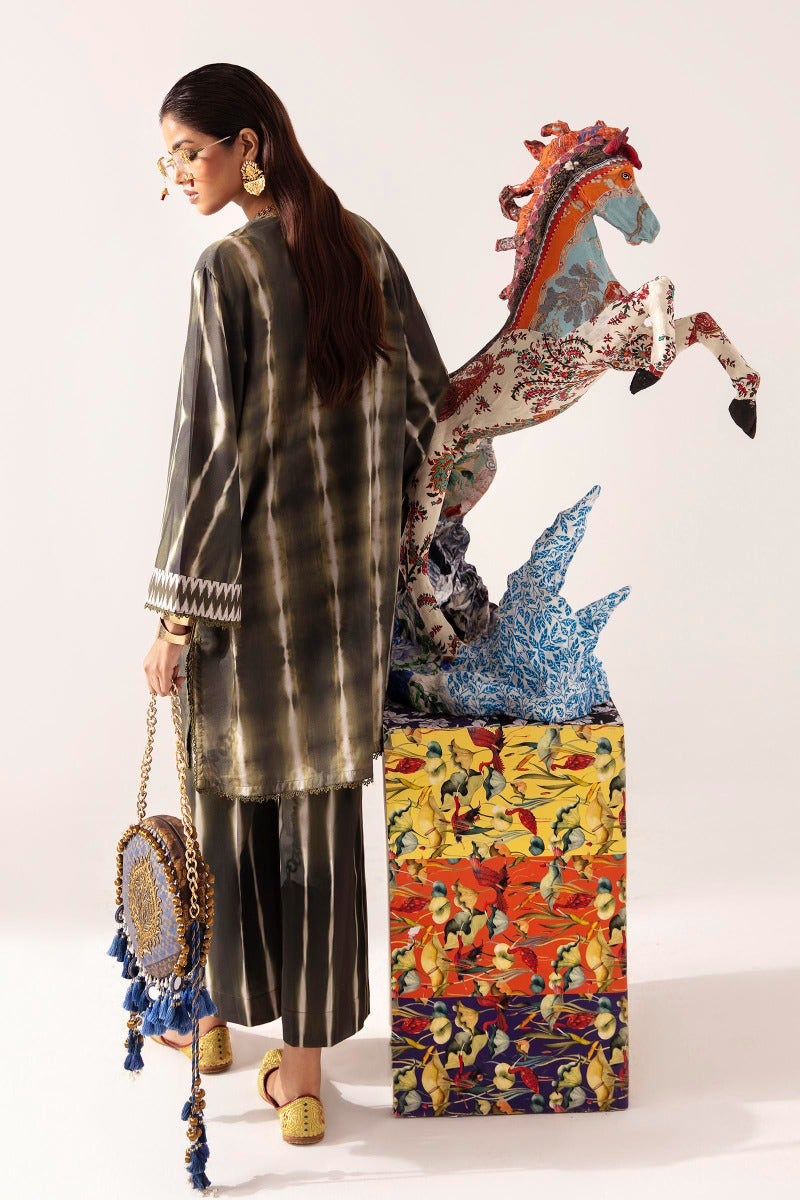 H232-021A-C | Sana Safinaz | Mahay Winter 2023