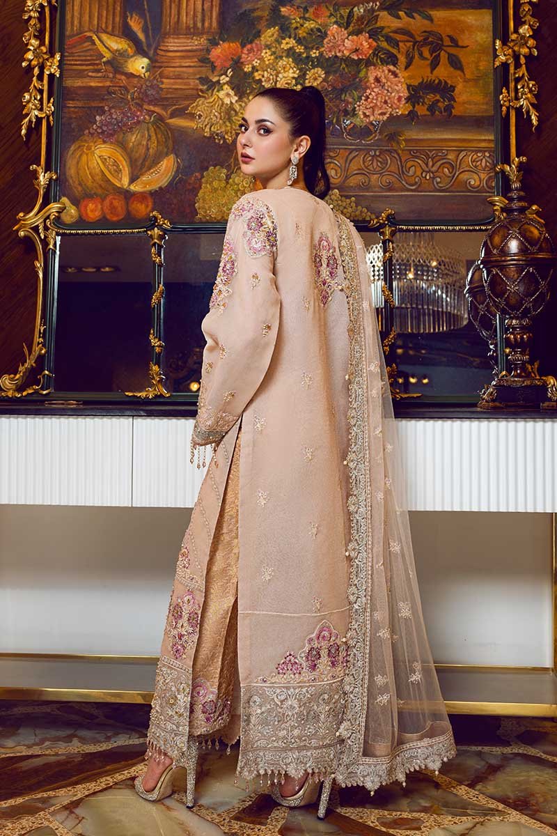 Ethnic Royale | Rang Rasiya |  Ritzier Embroidered Chiffon collection 2020
