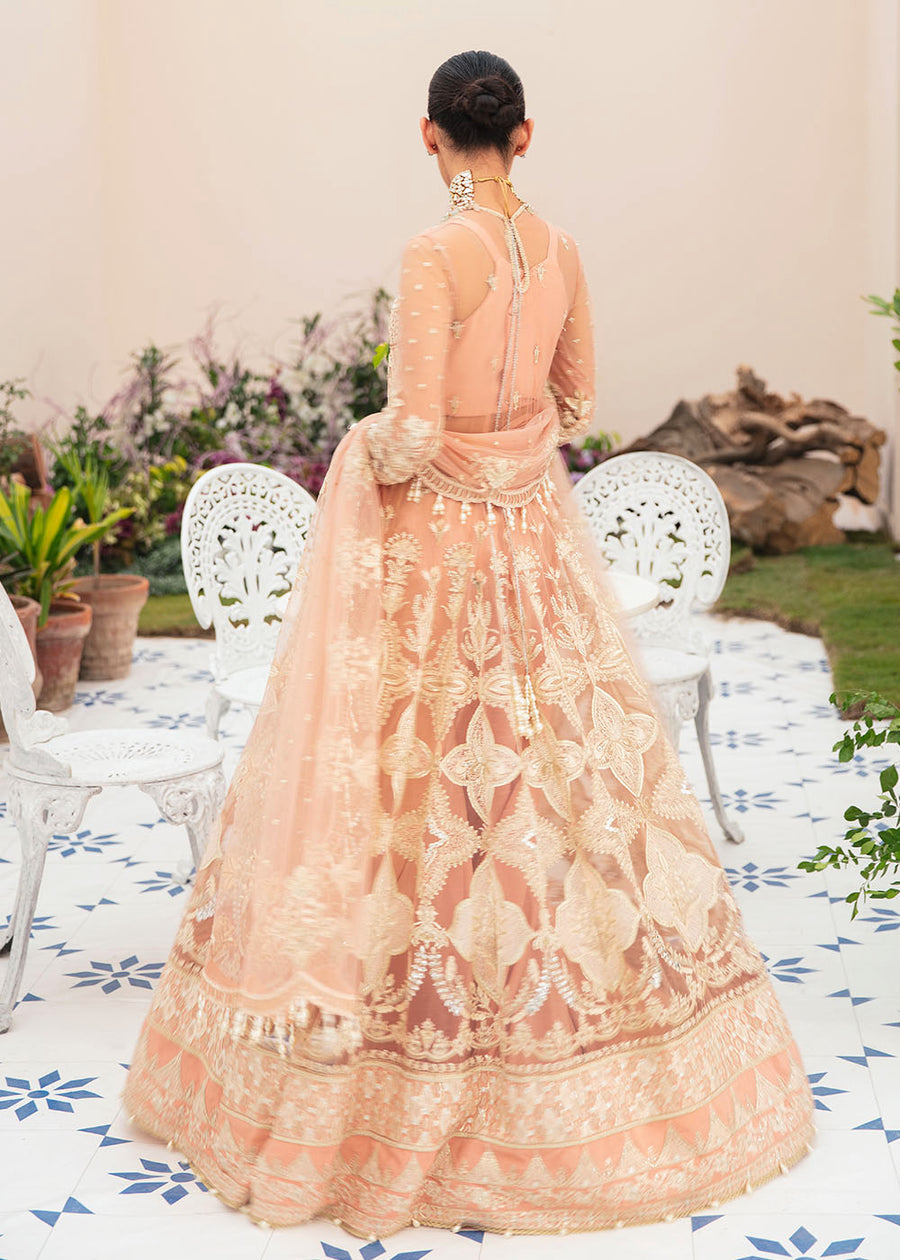 Sophie | Afrozeh | La Fuchsia Unstitched Collection 2023