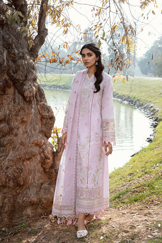 AK - 08 - SIBEL | Qalamkar |  Qline Lawn 2023