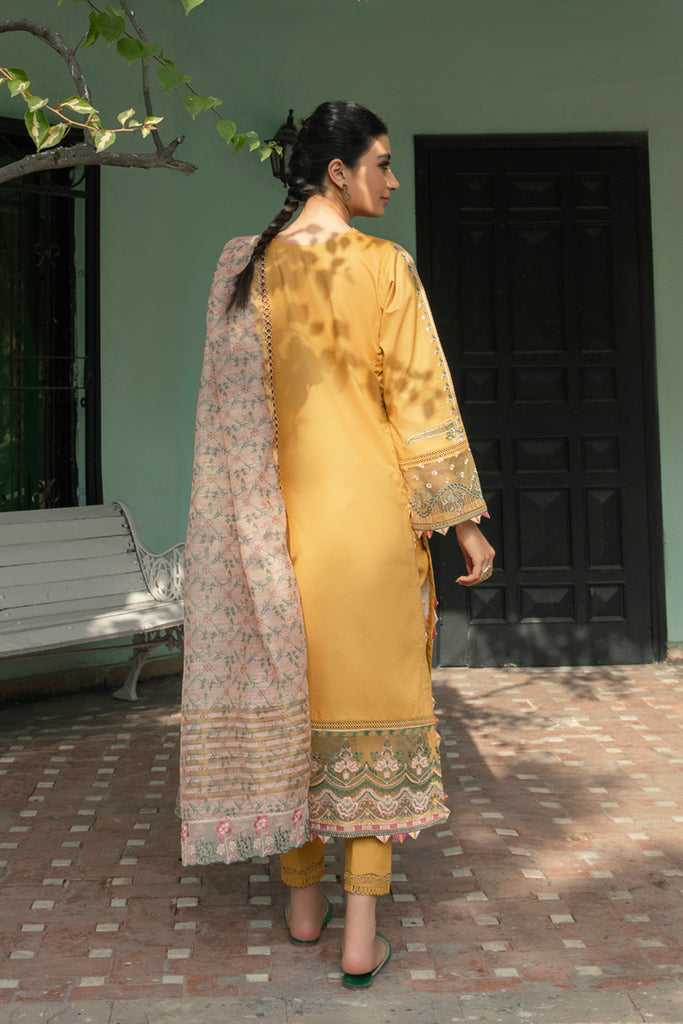 QB - 12 Reine | Qalamkar | Qline Summer Lawn 2022