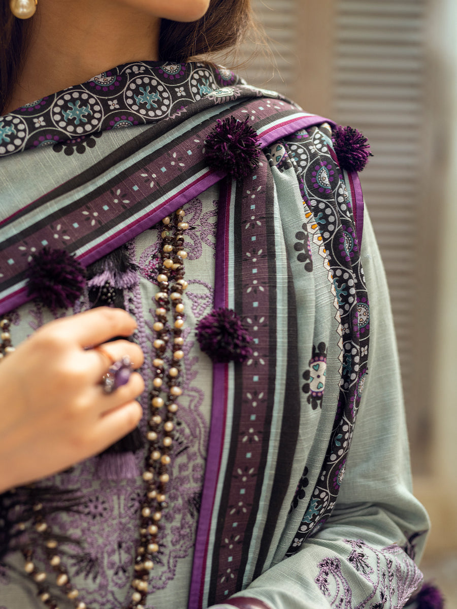 Saba | Roheenaz | Winter Collection 2022